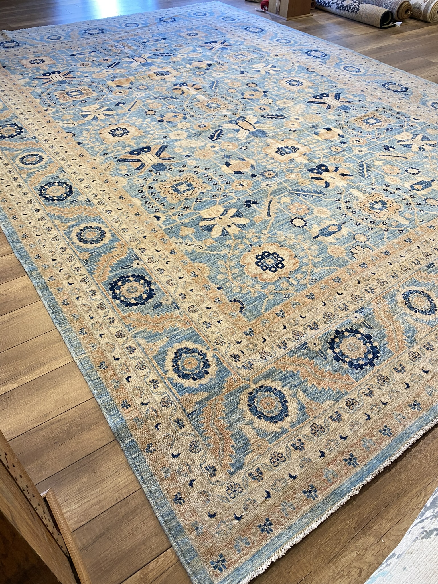 Coastal Serapi Hand-Woven Transitional Rug