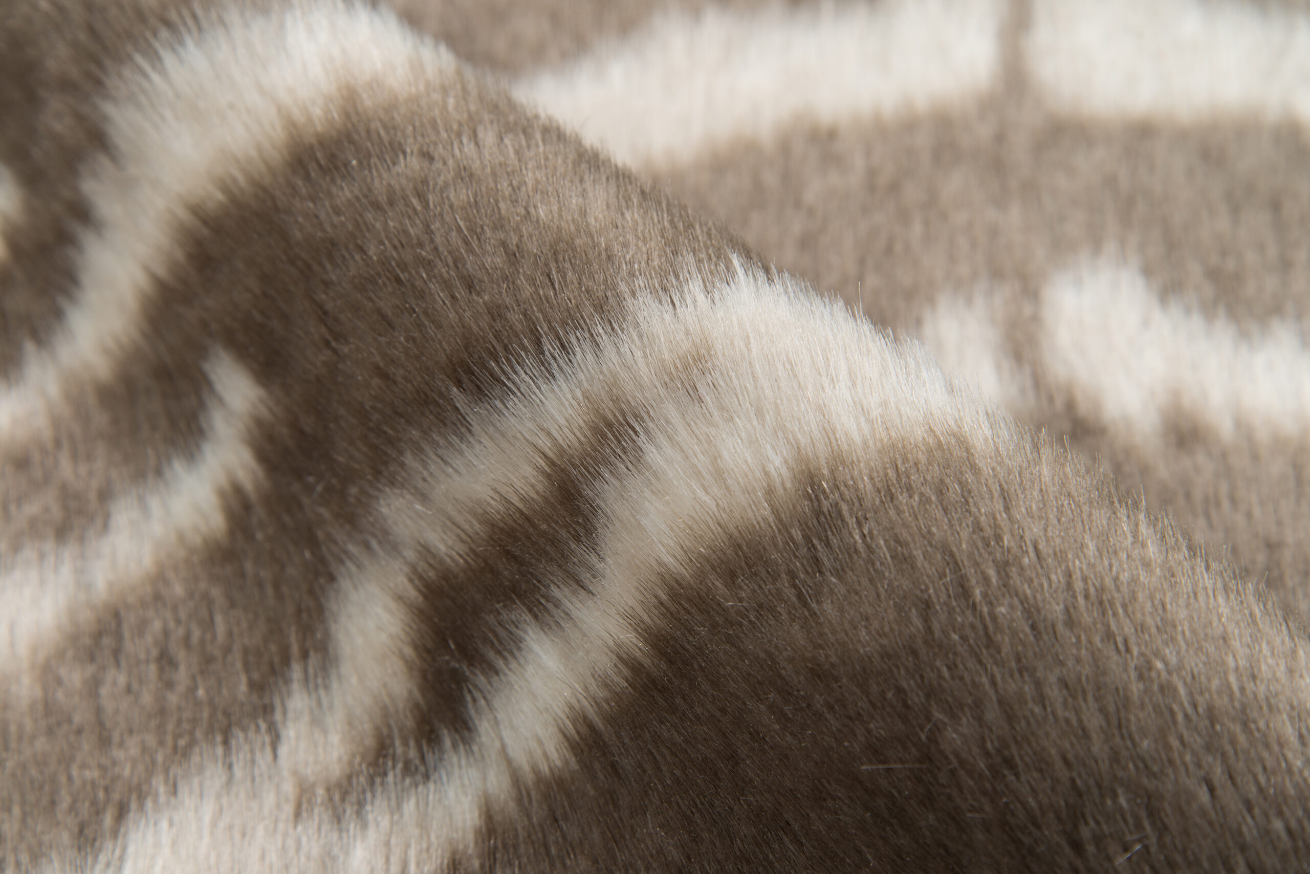 Erin Gates Acadia Zebra Grey Area Rug - Image 4