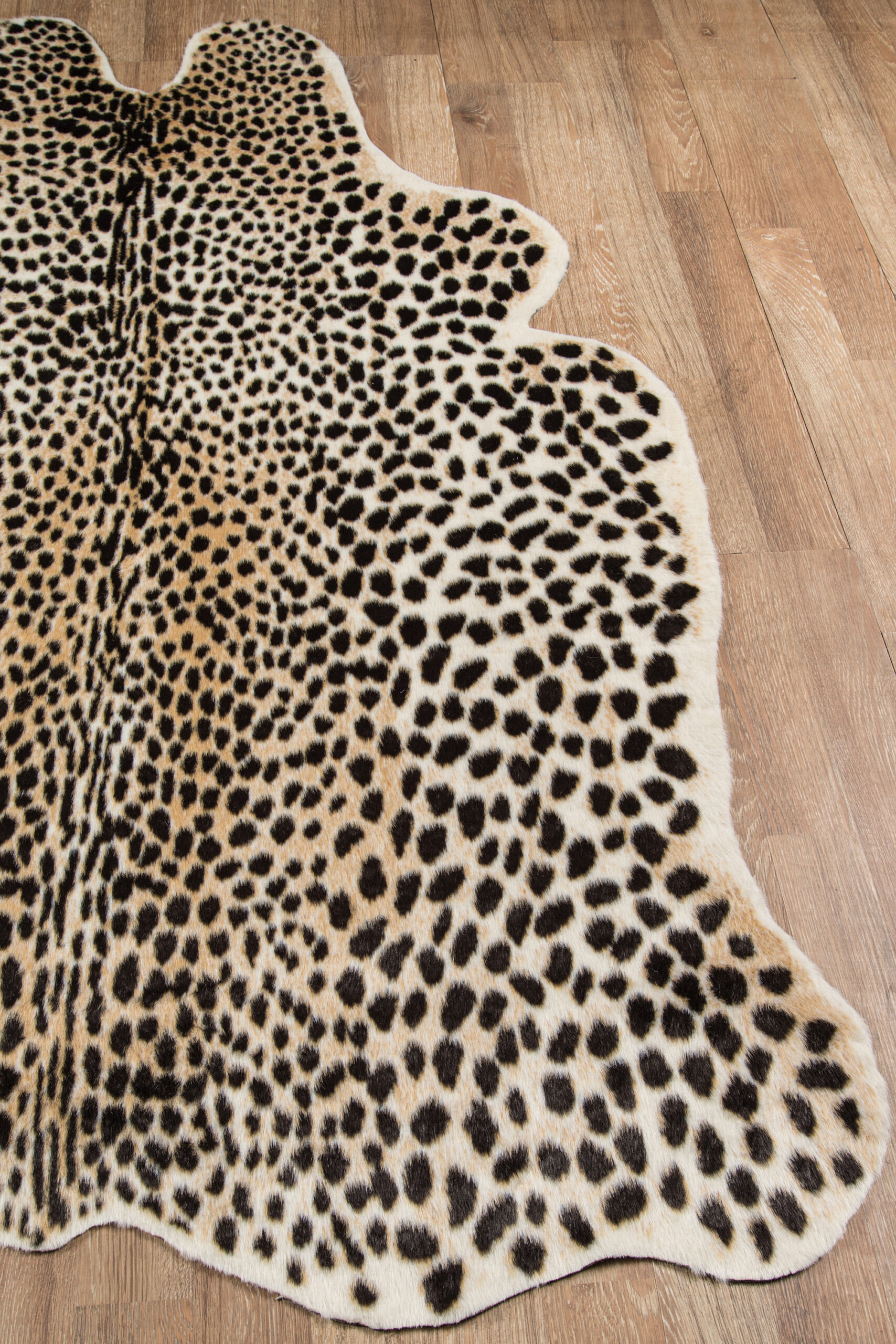 Erin Gates Acadia Cheetah Multi Area Rug - Image 2