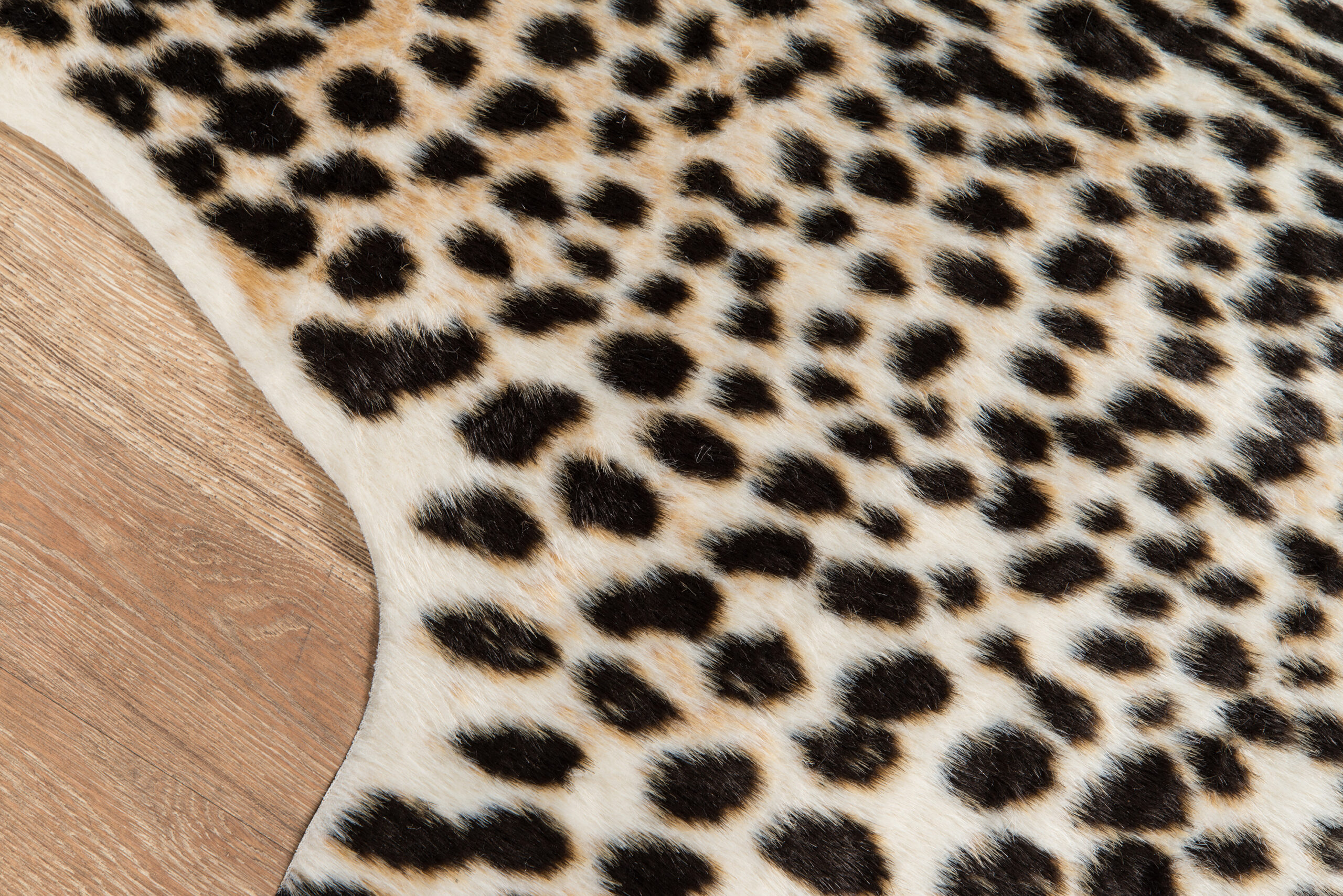 Erin Gates Acadia Cheetah Multi Area Rug - Image 3
