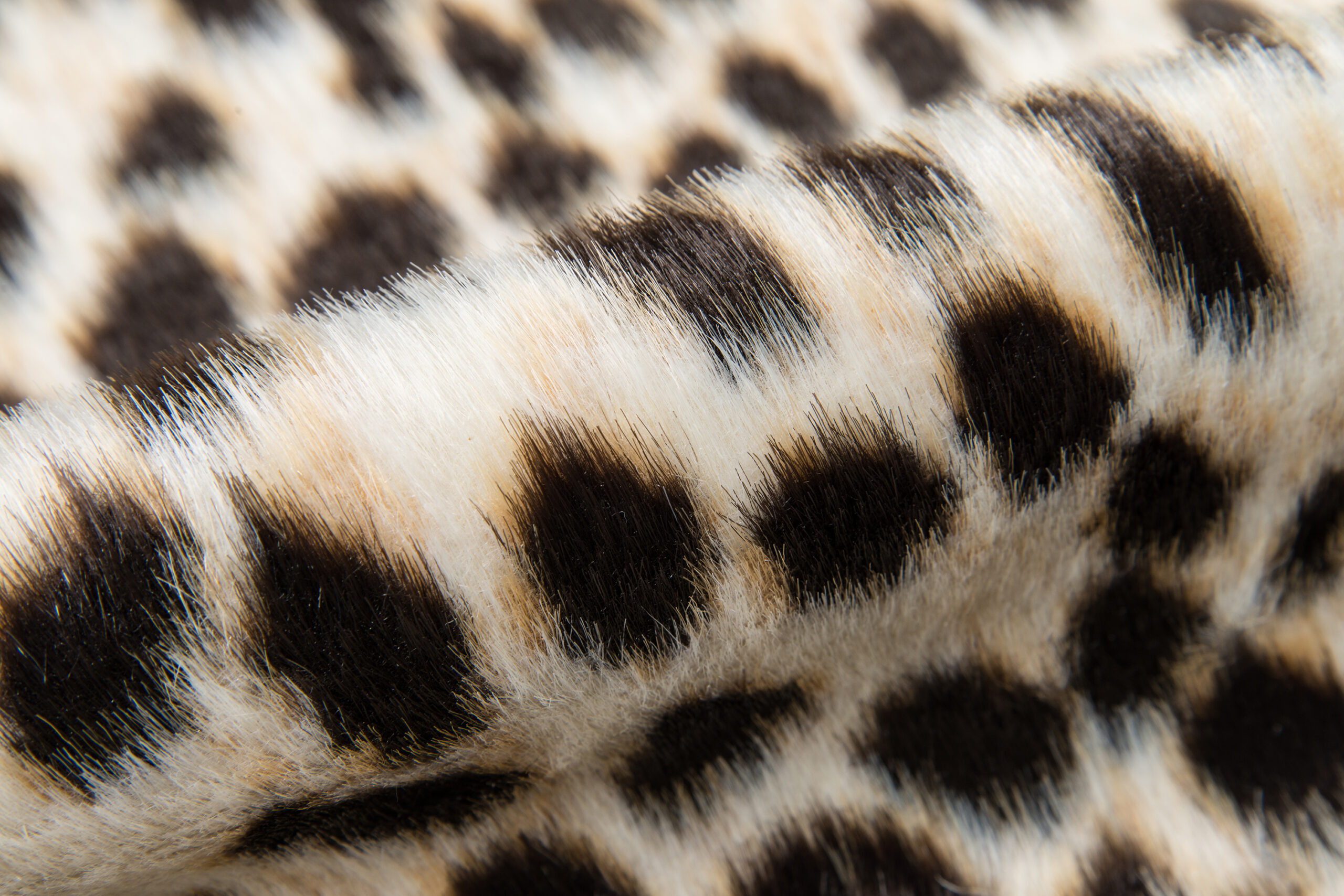Erin Gates Acadia Cheetah Multi Area Rug - Image 4