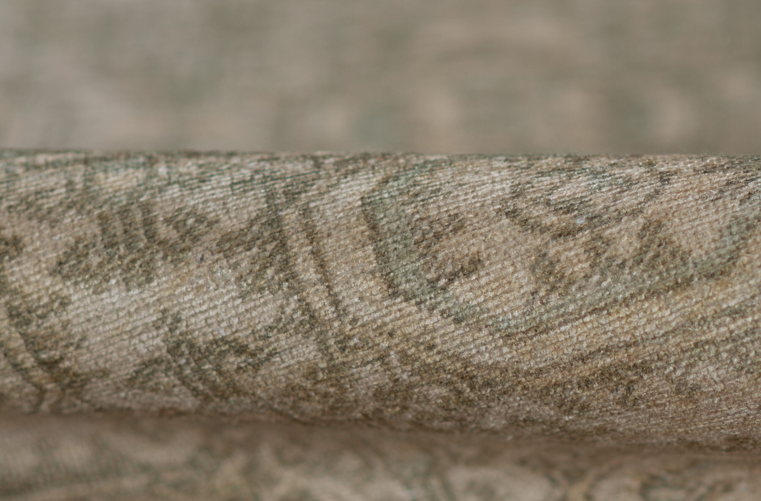 Erin Gates Dorset Warren Green Area Rug - Image 4