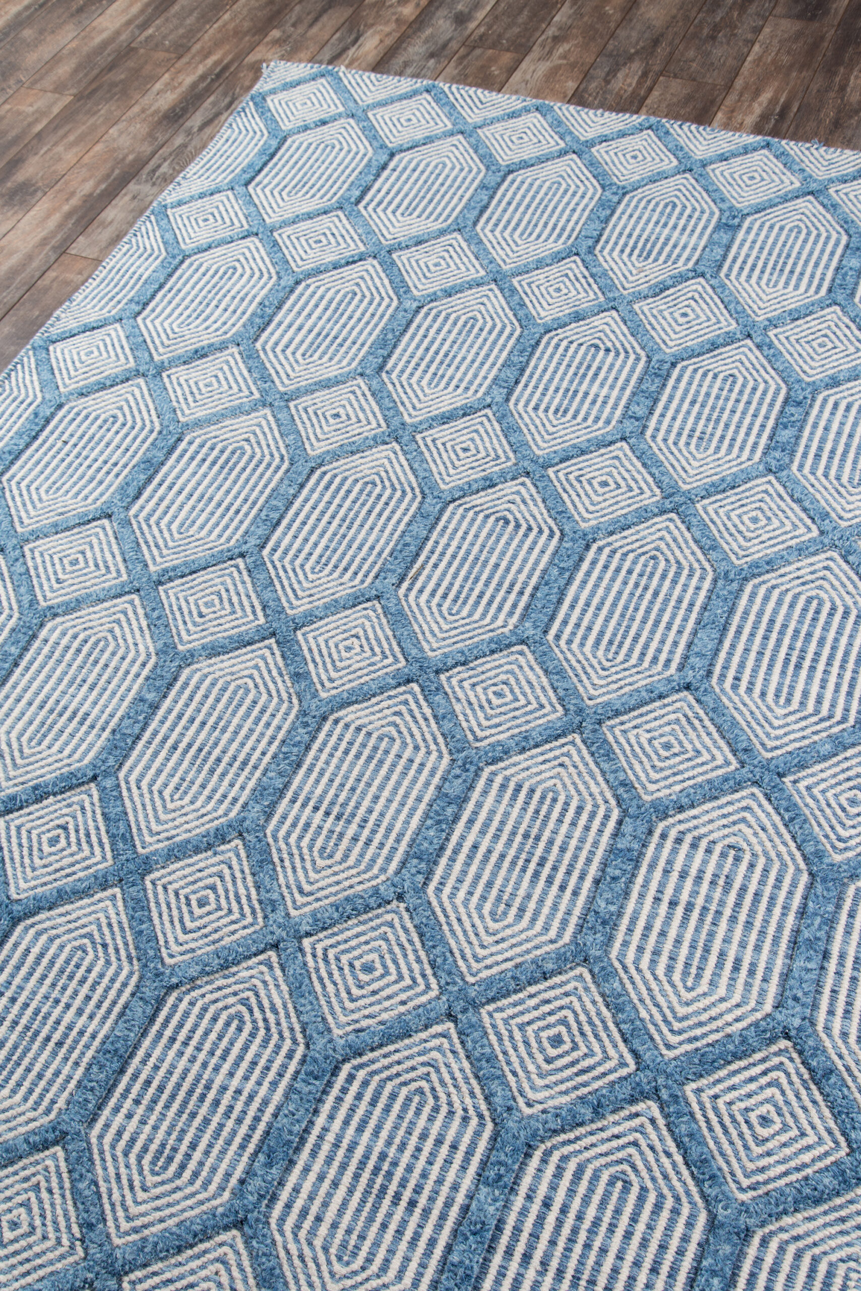 Erin Gates Langdon Cambridge Blue Area Rug - Image 2