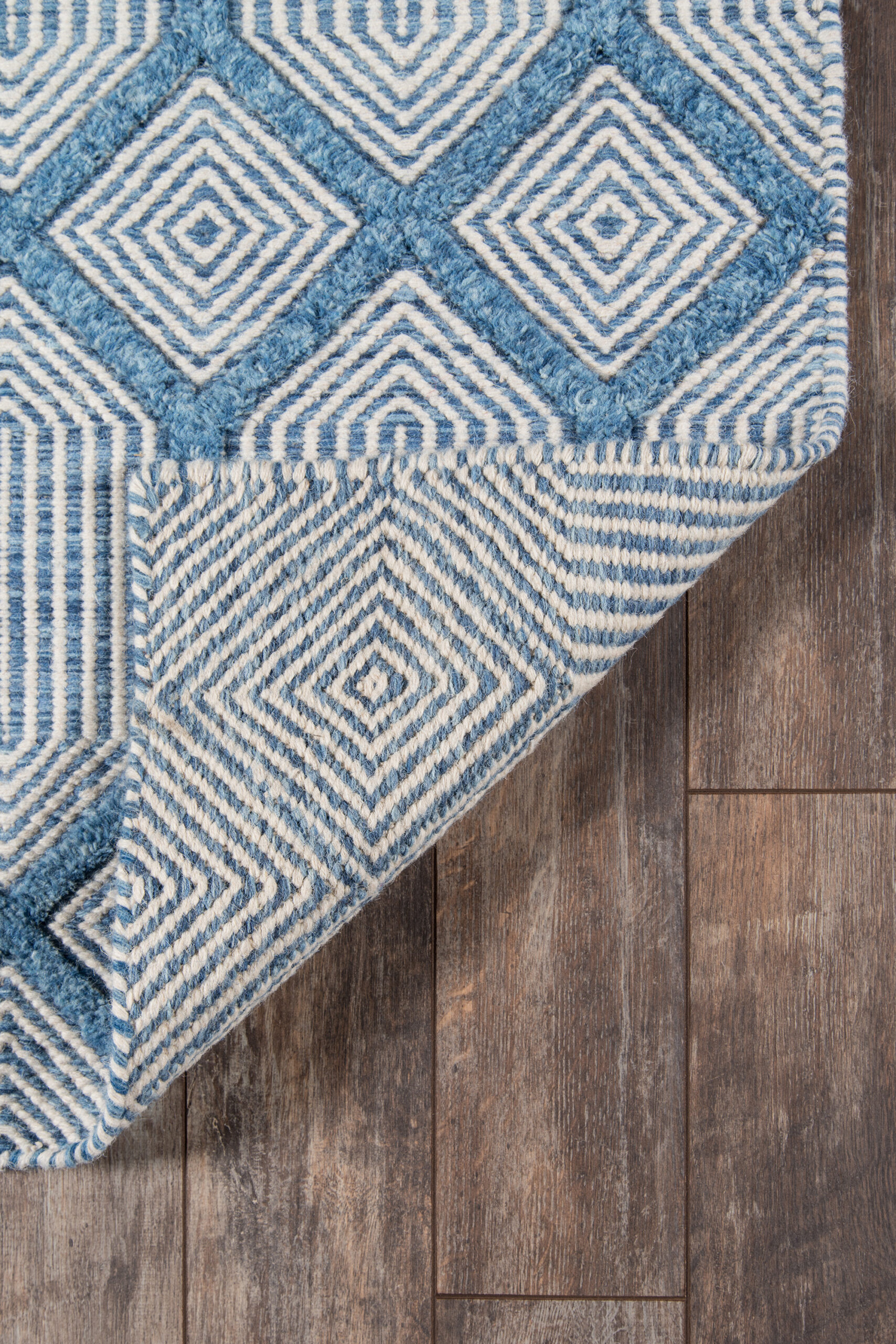 Erin Gates Langdon Cambridge Blue Area Rug - Image 5