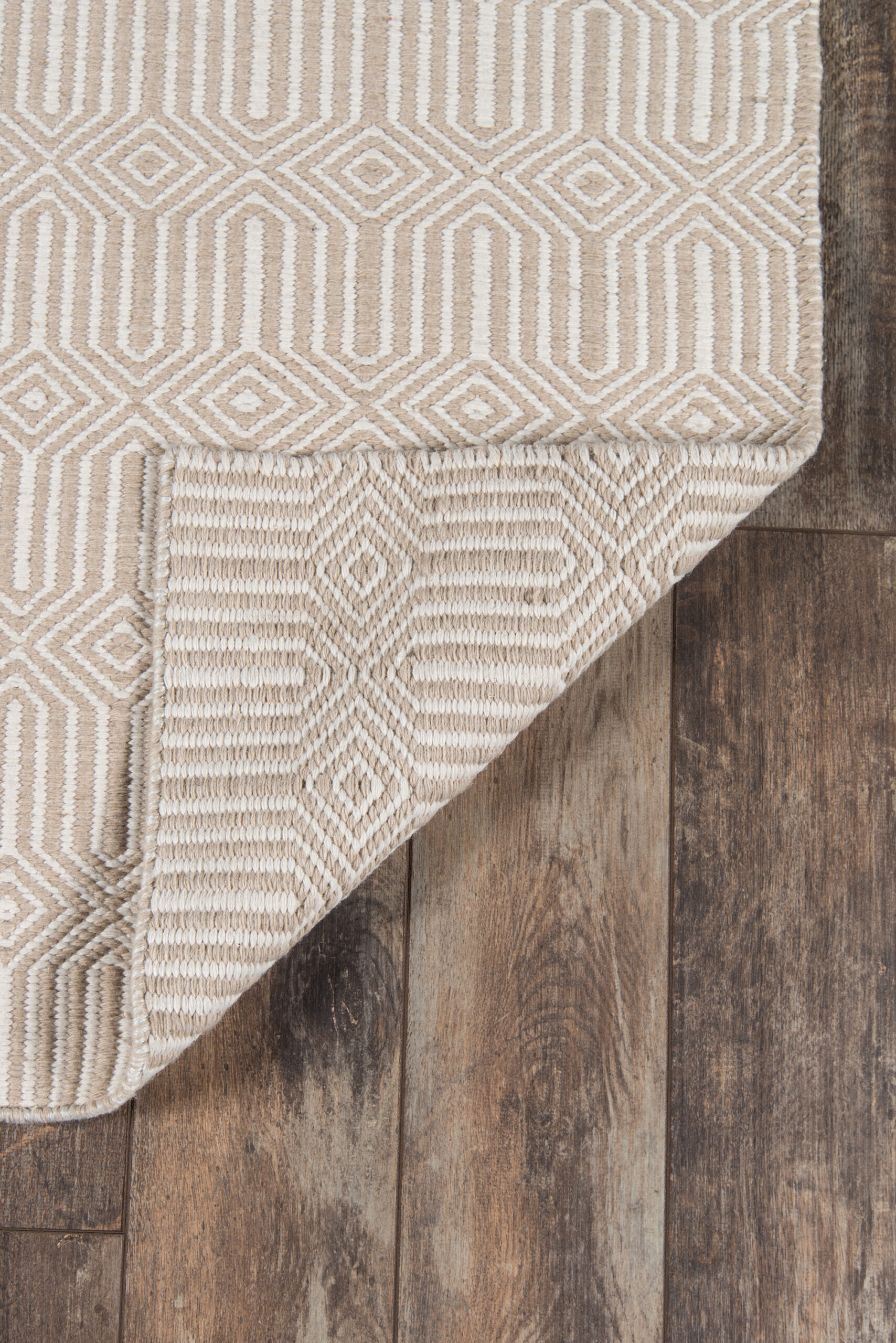 Erin Gates Newton Holden Beige Area Rug - Image 6
