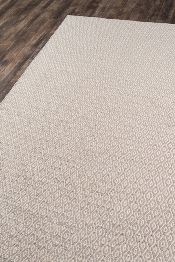 Erin Gates Newton Davis Beige Area Rug Mockup