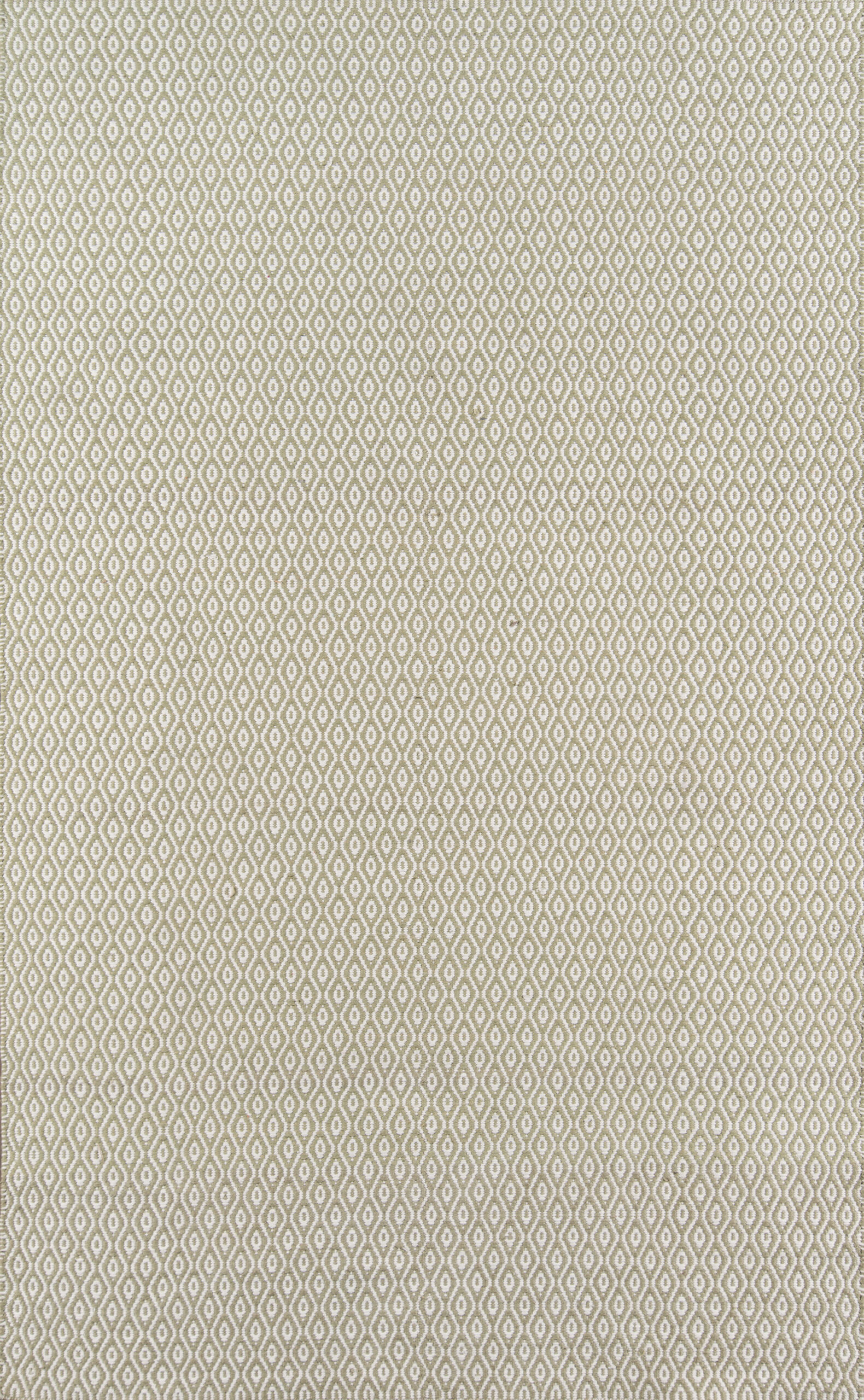 Erin Gates Newton Davis Green Area Rug