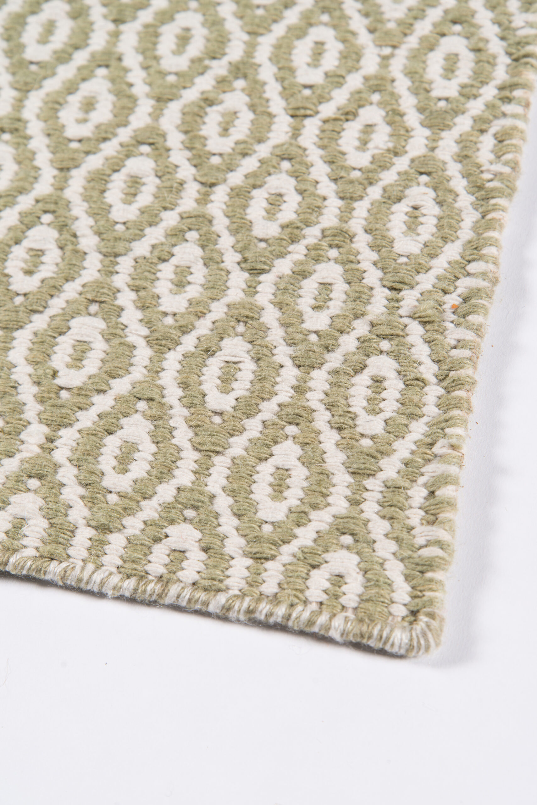 Erin Gates Newton Davis Green Area Rug - Image 7