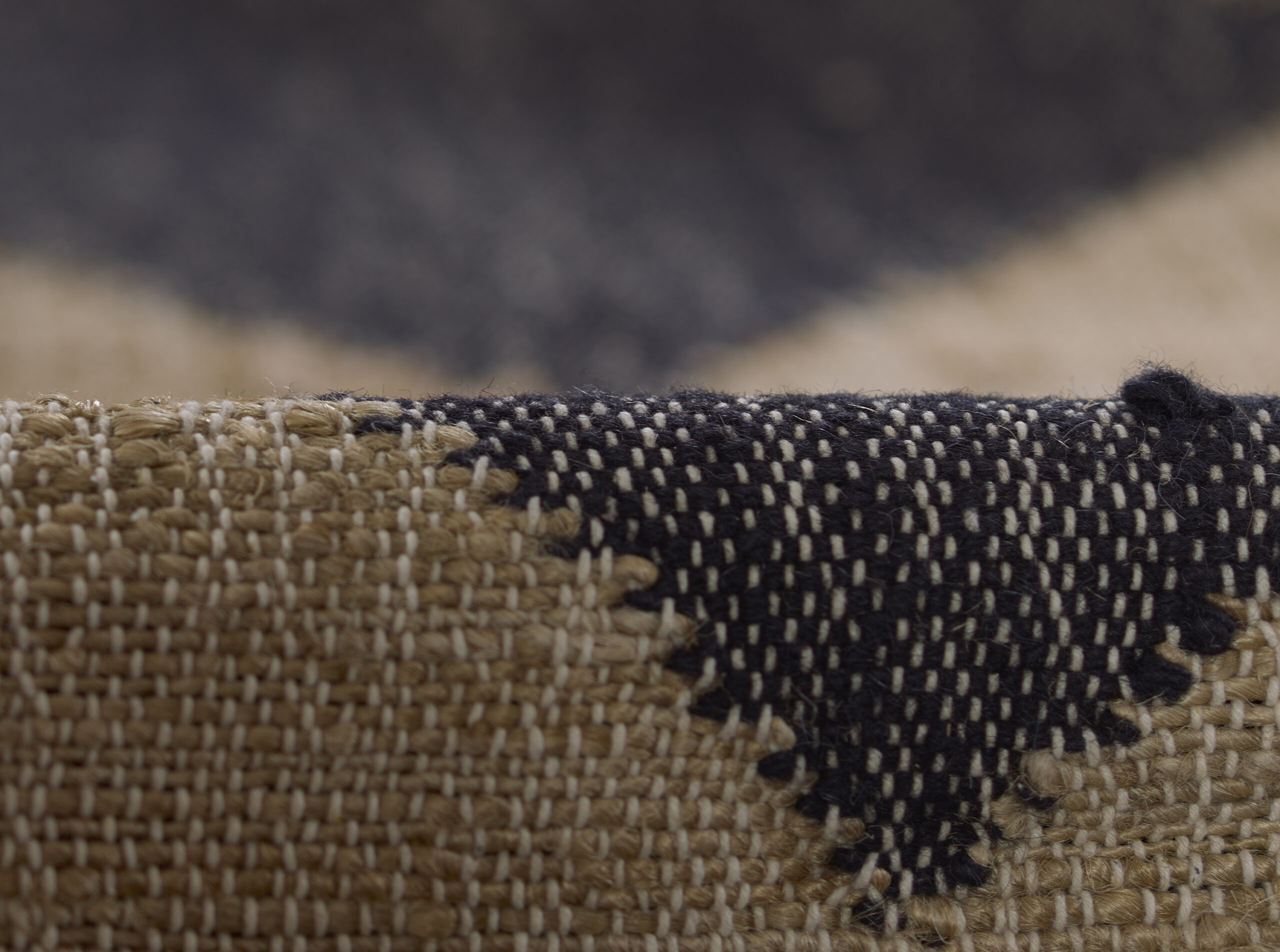 Erin Gates Orchard Court Black Area Rug - Image 4