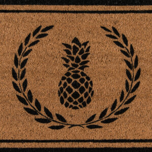 Erin Gates Park Pineapple Black Area Rug