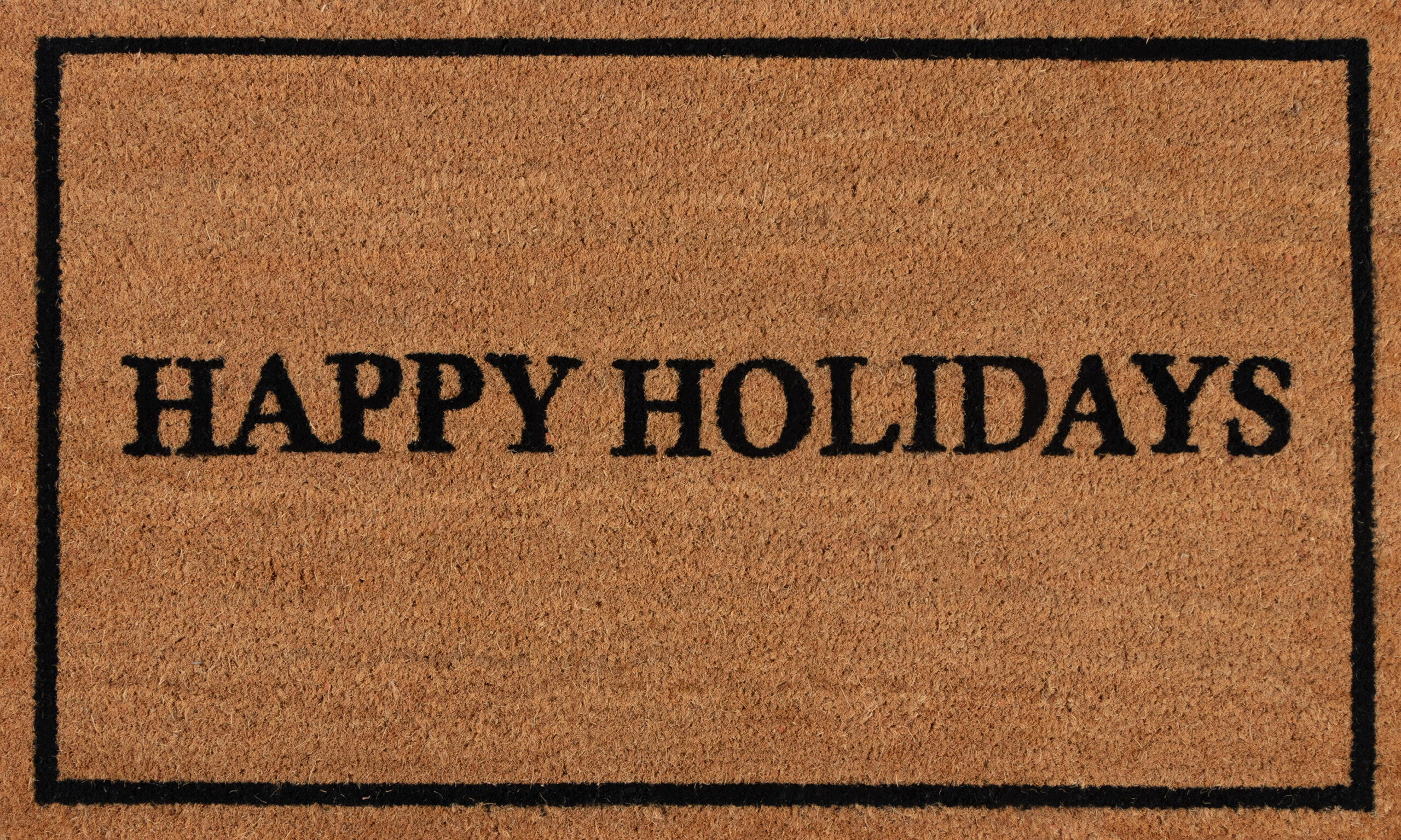 Erin Gates Park Happy Holiday Black Area Rug