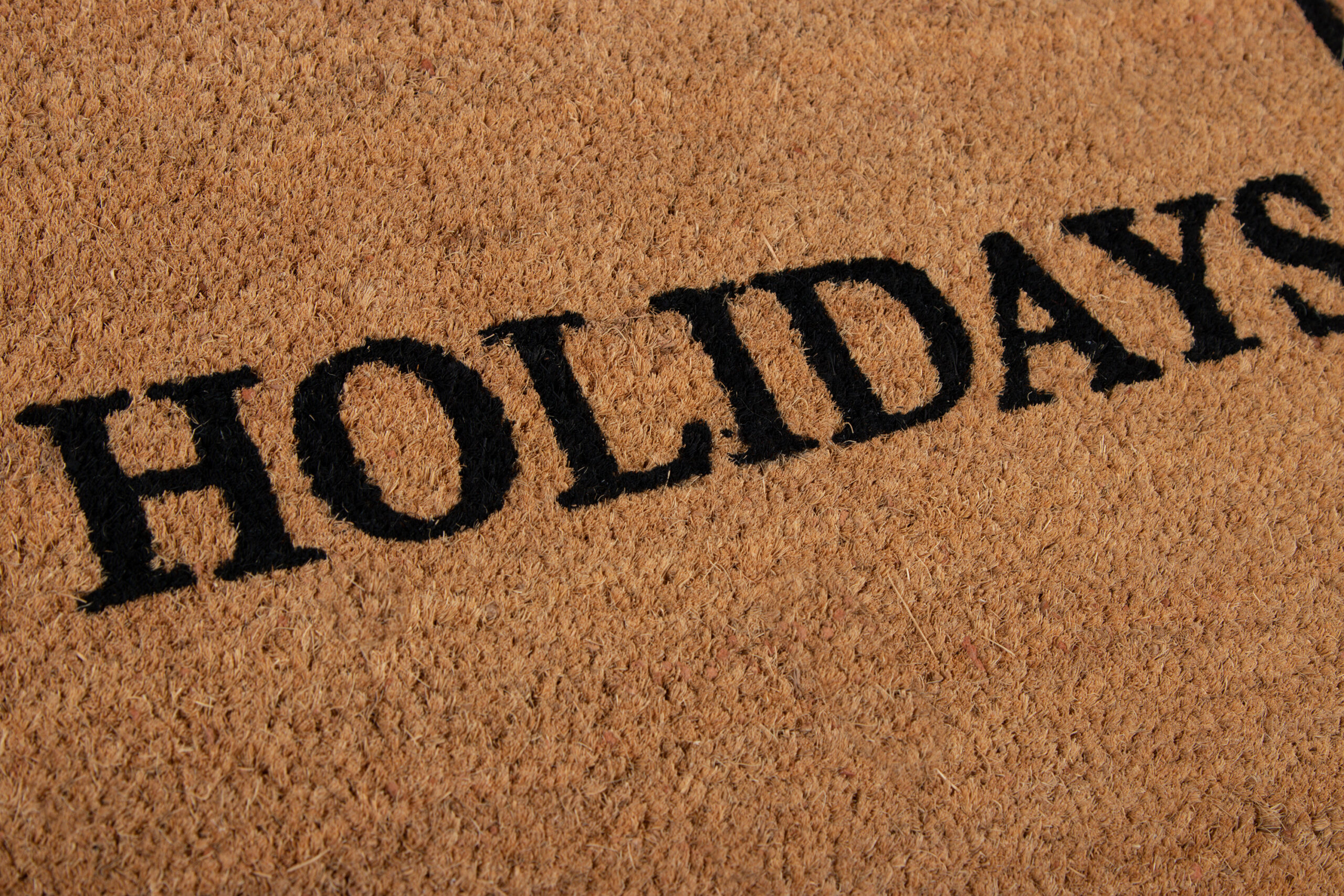 Erin Gates Park Happy Holiday Black Area Rug - Image 3