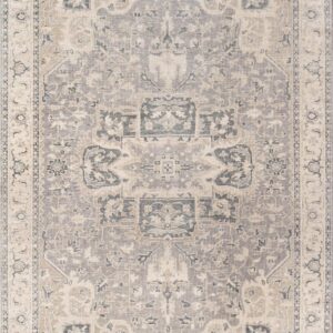 Momeni Banaras Grey Area Rug