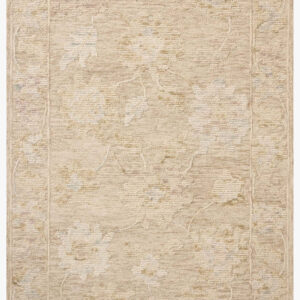 Loloi Cynthia Cyn-01 Oatmeal / Multi area rug
