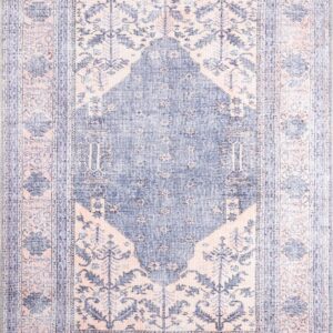 Momeni Helena Denim Area Rug