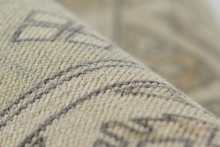 Momeni Anatolia Sage Area Rug