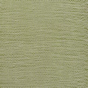 Momeni Paracord Green Area Rug