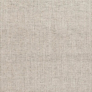 Momeni Thomas Grey Area Rug